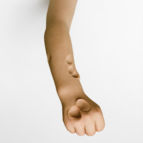 Anders Krisár, Arm (right) [Detail], 2006.<br />
Photo: Anders Krisár