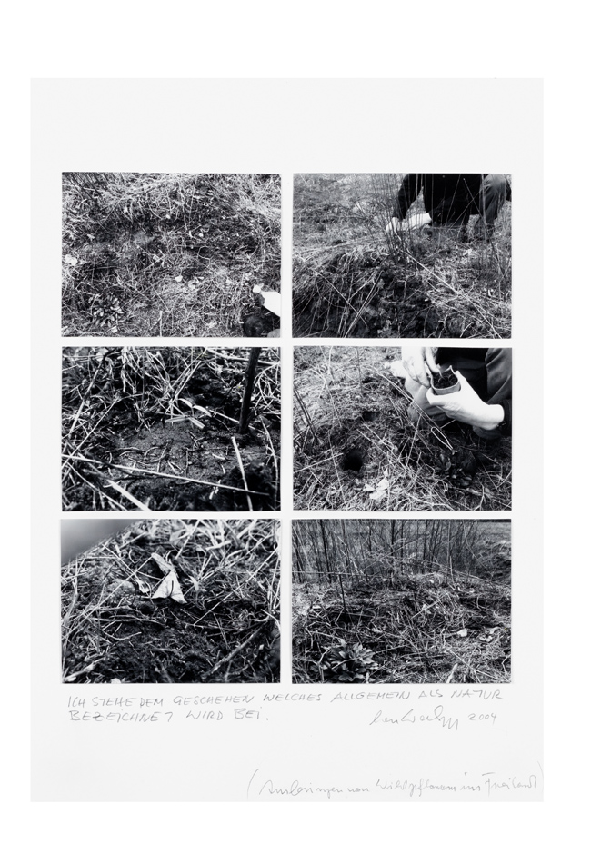 ich stehe dem geschehen welches allgemein als natur bezeichnet wird bei 2004 Lois Weinberger (*1947 Stams, Österreich, + 2020 Wien, Österreich) OM Contemporary © Lois Weinberger; Foto: L. Deinhardstein