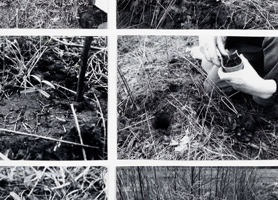 ich stehe dem geschehen welches allgemein als natur bezeichnet wird bei 2004 Lois Weinberger (*1947 Stams, Österreich, + 2020 Wien, Österreich) OM Contemporary © Lois Weinberger; Foto: L. Deinhardstein
